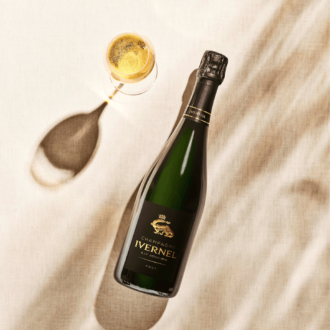 Champagne Brut IVERNEL 12% - 75 cl