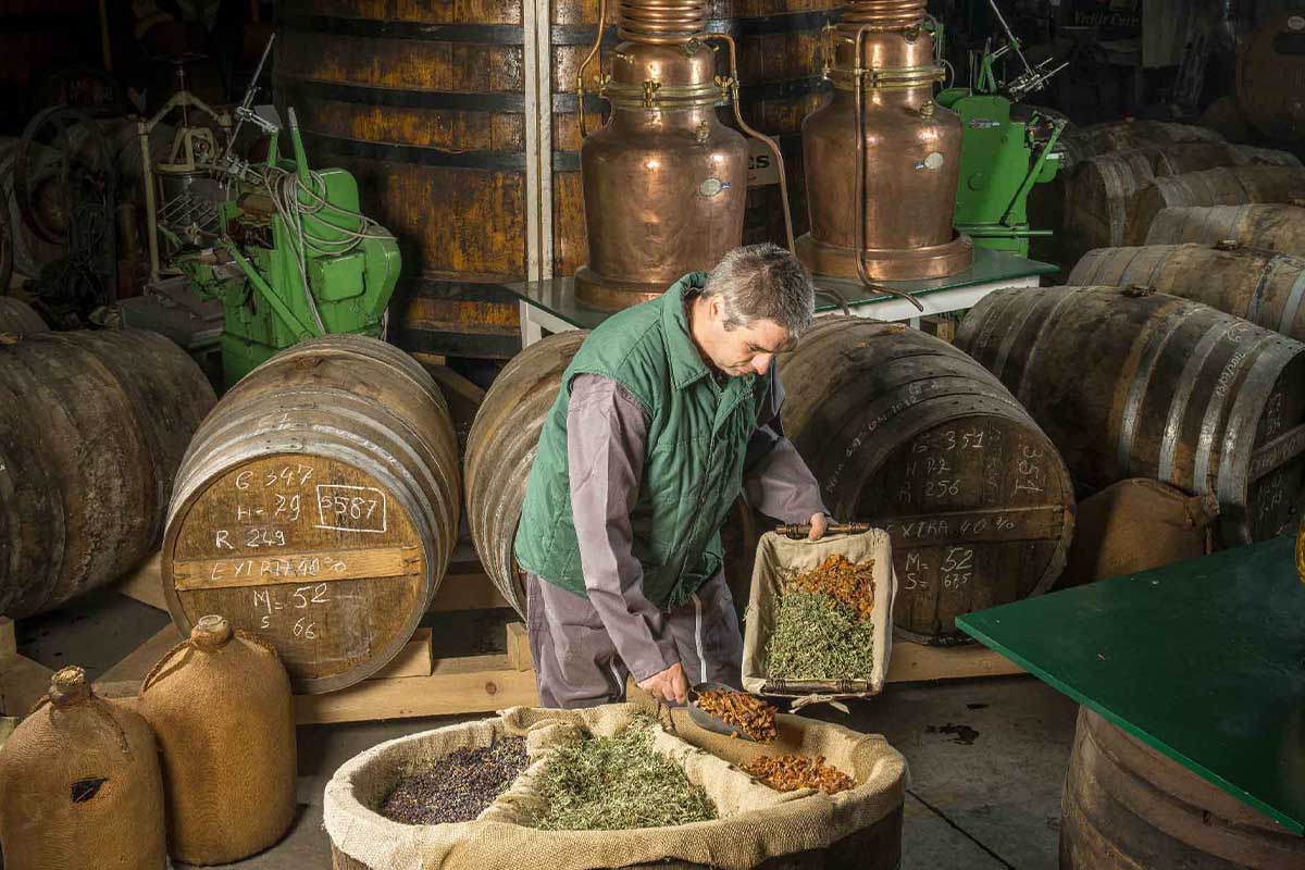 Plantes séchées à la Distillerie Pagès